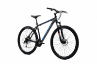 Holts 29er 1.0