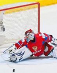 для хоккейных ворот