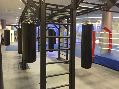 Боксерский мешок ПВХ  кольцо 